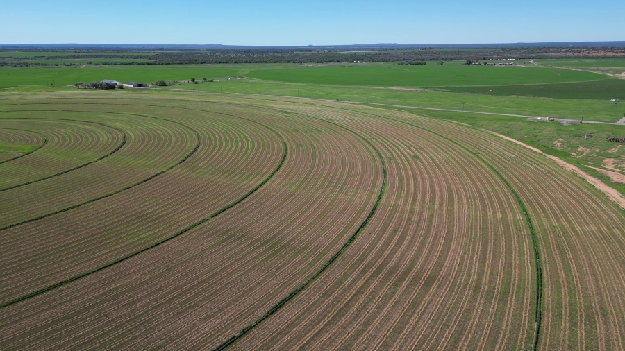 0 Bedroom Property for Sale in Douglas Rural Northern Cape